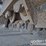 2019-link-belt-350-x4-image-18