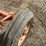 1957-allis-chalmers-wd45-image-26