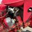 #5080-•-frazer-farm-equipment-b1-6-walk-behind-rototiller-image-6