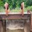 #4513-•-doosan-excavator-bucket-image-6