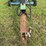 #755-•-kinze-12-row-planter-image-6