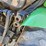 john-deere-4410-image-15