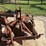 massey-ferguson-74-image-3