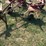 new-holland-163-image-2