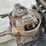 #5070-•-pony-motor-with-misc-parts.-image-20