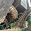 2016-john-deere-r4038-image-33