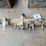 backflow-preventor-image-2