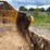 deere-1812c-image-20
