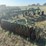 john-deere-3100-image-5