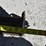 2019-caterpillar-303e-cr-image-30