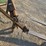 john-deere-214-image-9