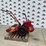 #5080-•-frazer-farm-equipment-b1-6-walk-behind-rototiller-image-1