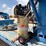 2017-big-tex-40'-x-102"-image-8