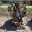 2000-caterpillar-c15-image-1