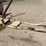 #5071-•-cub-cadet-snow-blade-image-12