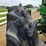 john-deere-4020-image-41