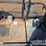 2019-link-belt-350-x4-image-59