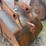 #4513-•-doosan-excavator-bucket-image-7