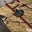 rapat-f2524-conveyor-image-16