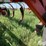 glencoe-soil-saver-image-16