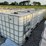 #50007-•-lot-of-(5)-poly-tanks-w/-cage-inv#50007-image-2