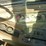1992-caterpillar-623e-image-15