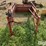 international-cub-154-lo-boy-image-6