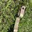 john-deere-1065-image-10
