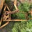 international-cub-lo-boy-image-10