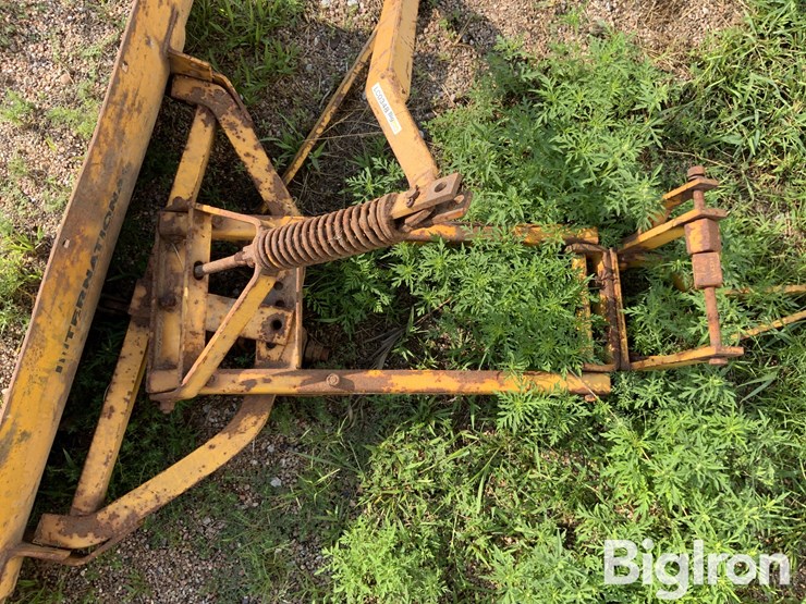 international-cub-lo-boy-image-10