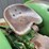 john-deere-1020-image-26