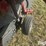 case-ih-rbx561-image-10