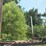 #613-•-2008-pitts-log-trailer-image-18