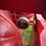 farmall-a-image-34