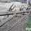 international-720-image-8