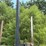 #613-•-2008-pitts-log-trailer-image-21