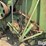 1954-john-deere-55-image-11