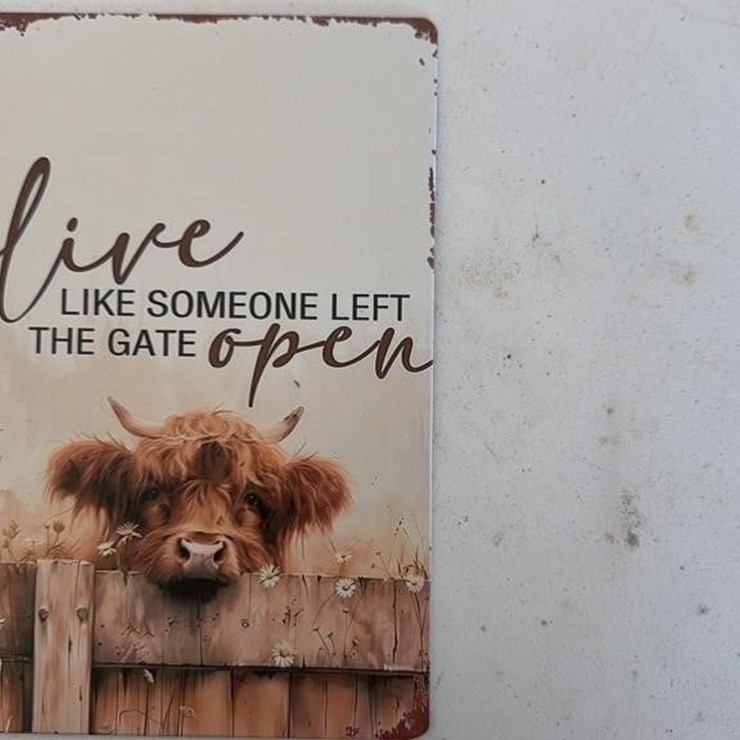 Sign tin