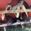 buhler-farm-king-snow-blower-image-15