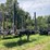 #601-•-2023-fmi-log-trailer-image-2