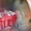 1983-massey-ferguson-4880-image-10