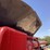 2011-case-ih-6088-image-19