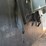 #660-•-sundowner-4-horse-trailer-image-14