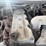 #54424-•-2002-dodge-ram-pickup-4x4-ext-cab-flatbed-pickup-3b7mf33602m299667-inv#54424-image-36