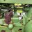 john-deere-720-image-48