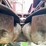 case-ih-1063-image-11