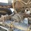 #609-•-pitts-log-trailer-image-21
