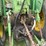 1970-john-deere-4520-image-20