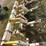 dokin-cultivator-image-6