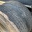 #603-•-2023-fmi-log-trailer-image-13